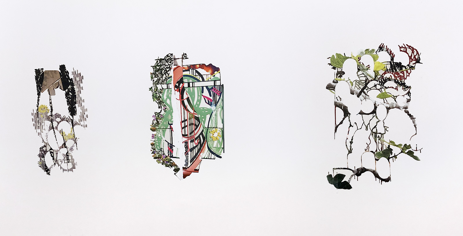cuttings