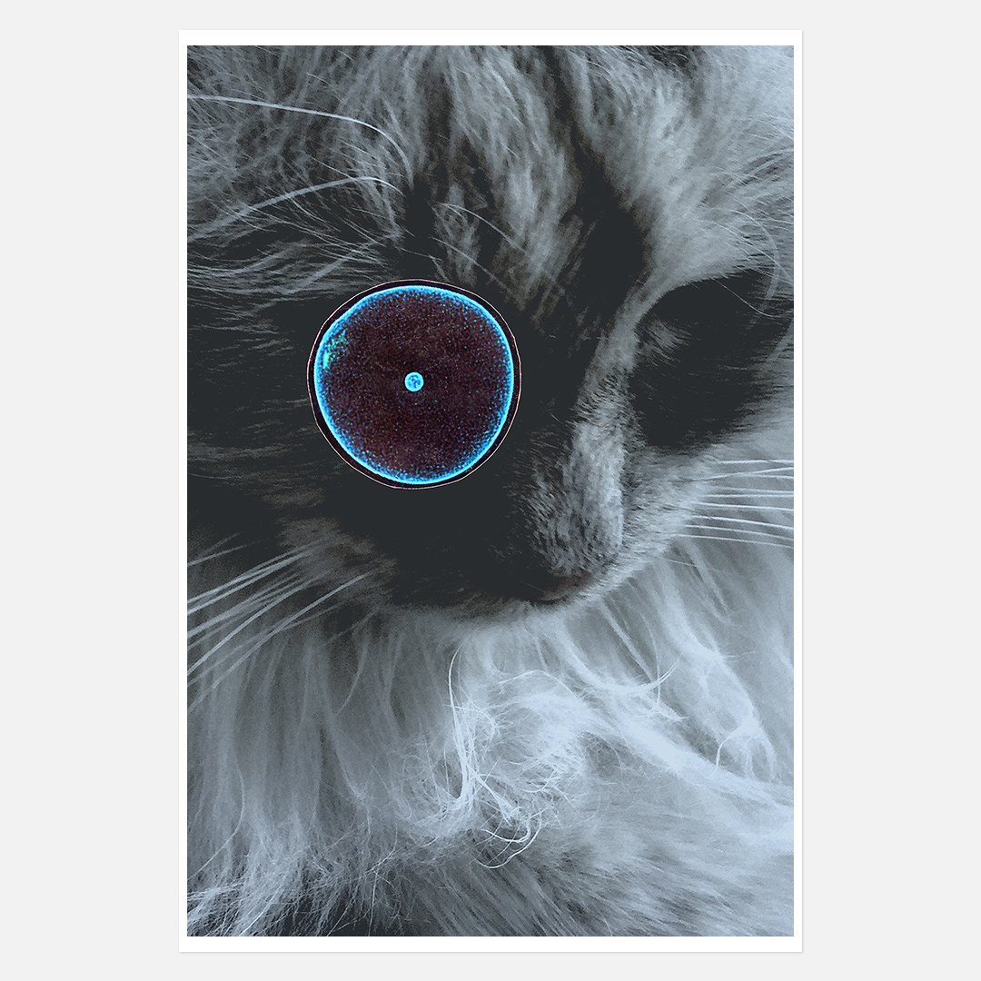 Feline Nebula​