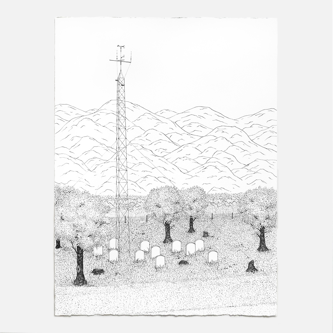 Roadside Attraction