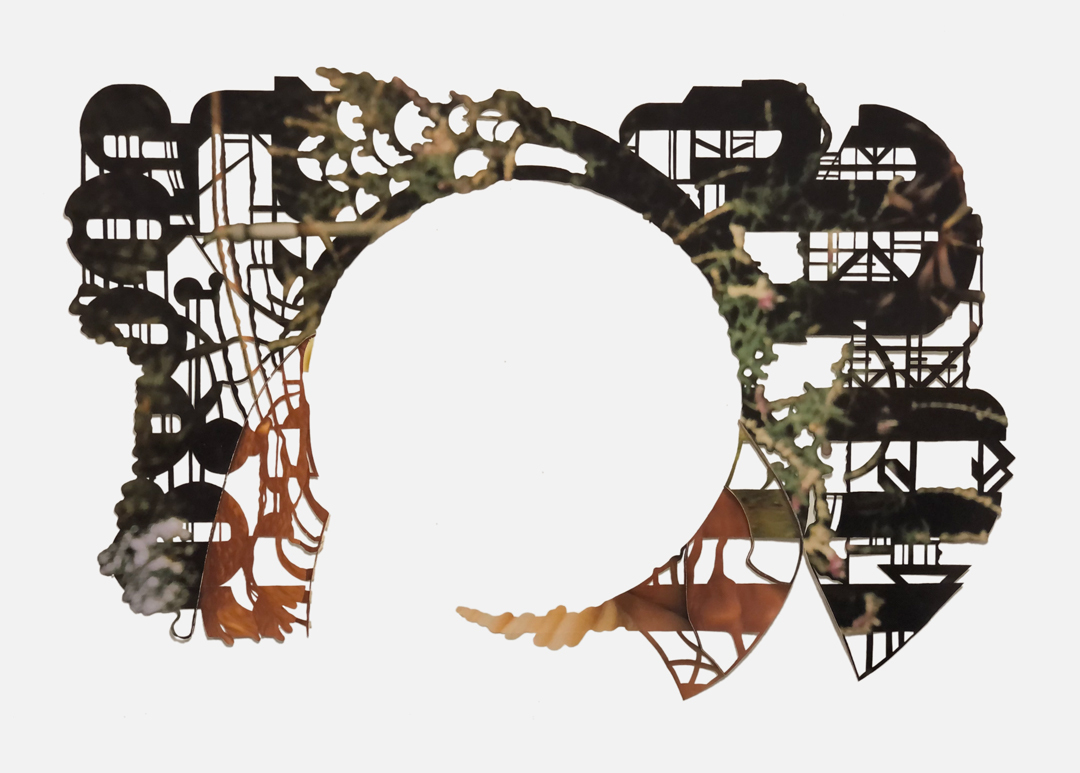 Architecture of the Medusa